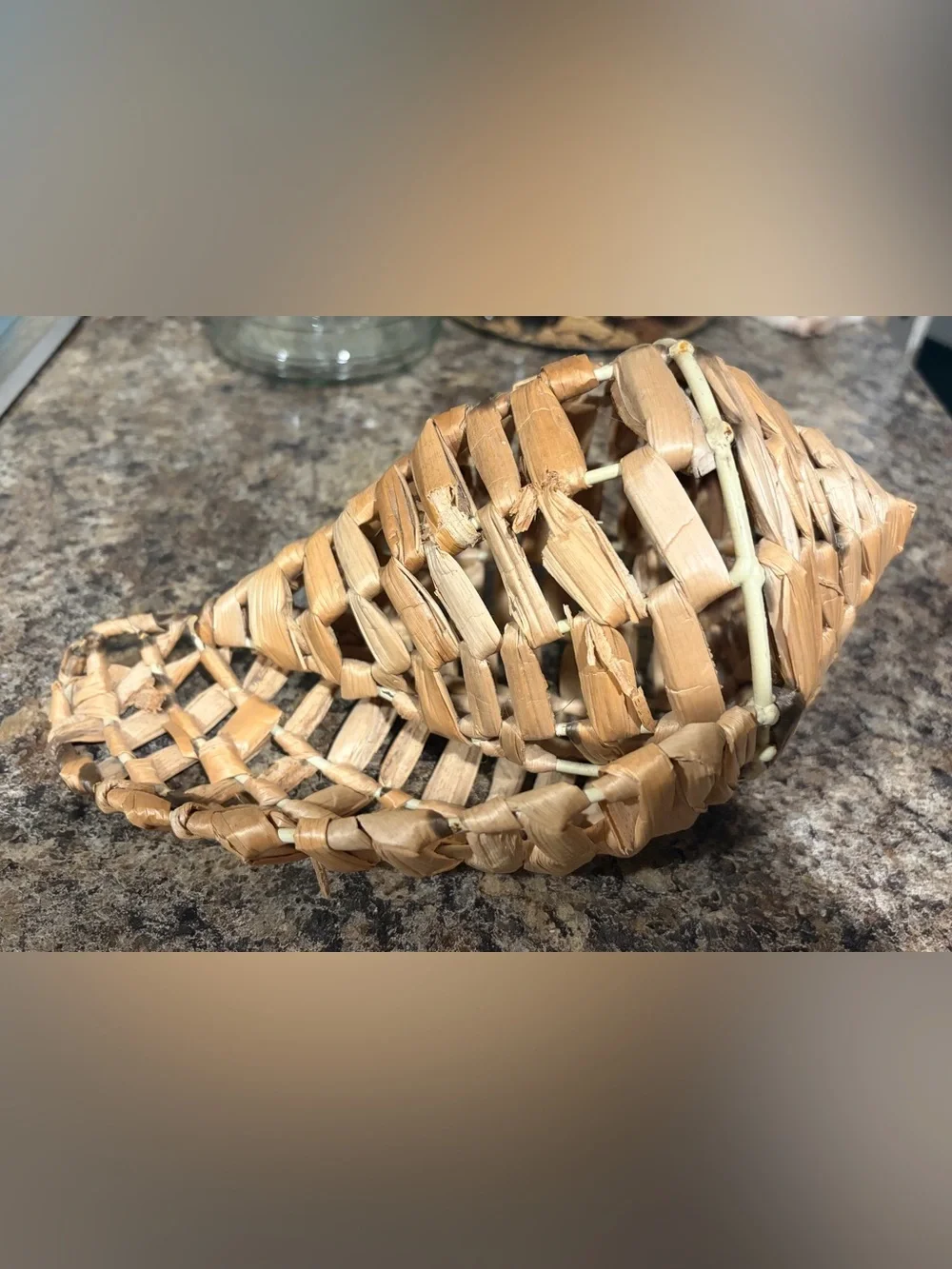 Vintage Conch Seashell Woven Basket on Wire Frame